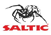 Saltic logo
